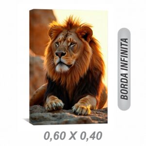 Quadro Canva 60x40cm | 1und